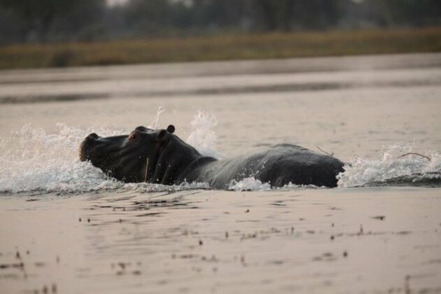 Jumbo Junction Camp - Photo4