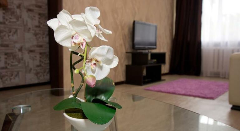 Orhideya apartament on Lenin Square - Photo4