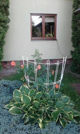 Gostevoi Domik na Yantarnoy - Photo4
