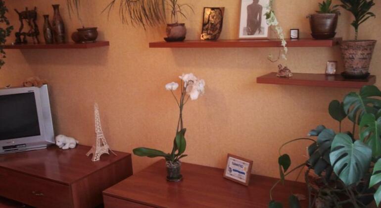 Yantarnaya Komnata Apartment - Photo4