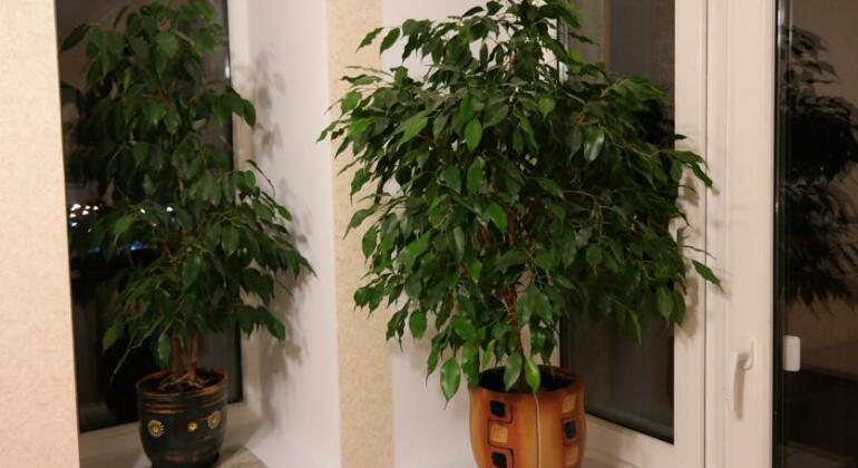 Apartment Gorkogo - Photo5