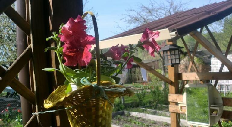 U Galiny Guest House - Photo5