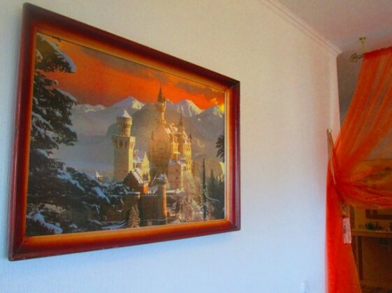 Na Nemanskoy Apartment - Photo5