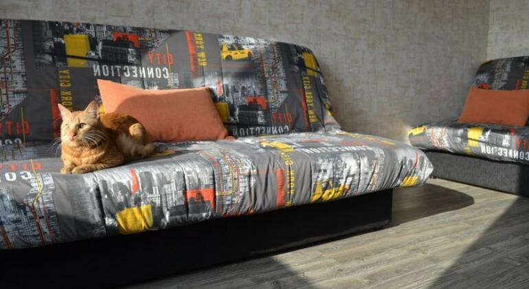 Red Cat Apartments - Photo3