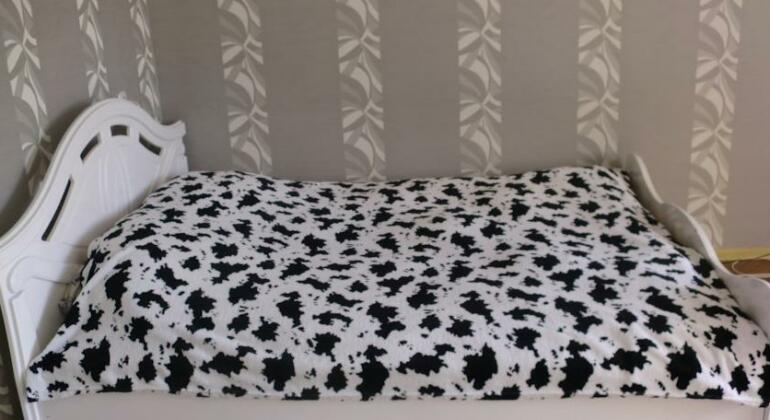 Valeria Apartments - Photo5