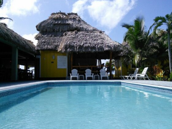Turtle Cove Beachfront Condo - Photo3