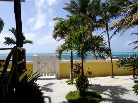Turtle Cove Beachfront Condo - Photo5