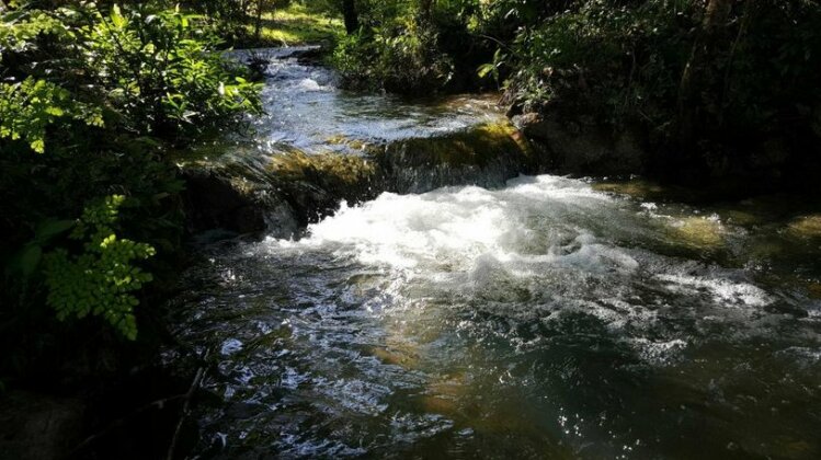 Ghan Eden Belize - Photo2