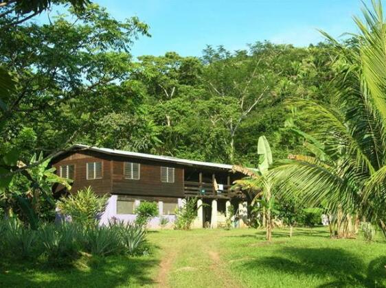 Hummingbird Guest Lodge & Hostel - Photo2