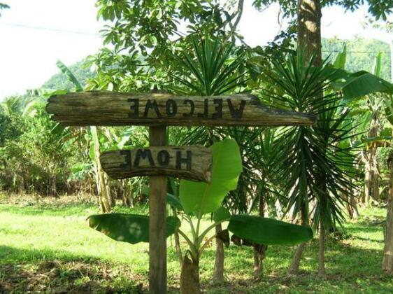 Hummingbird Guest Lodge & Hostel - Photo3
