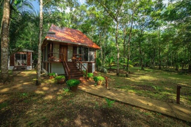 KikiWitz Resort - Photo3
