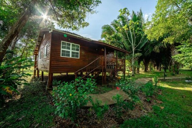 KikiWitz Resort - Photo4