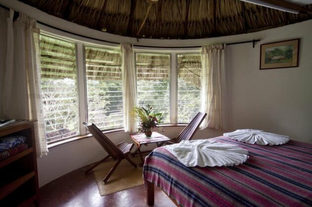 Pooks Hill Lodge - Photo3