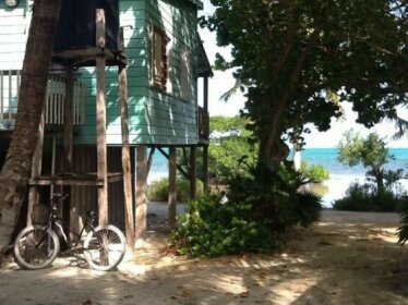 Coconut Grove Caye Caulker