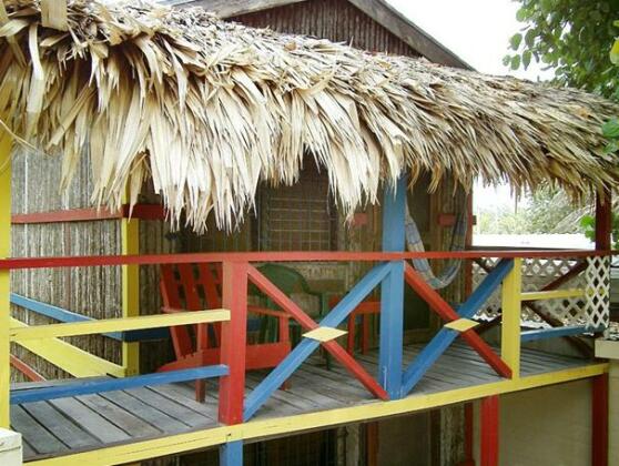 De Real Macaw - Photo4