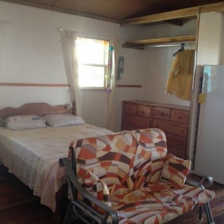 Trellis House - Photo4