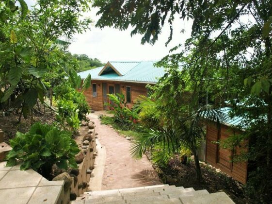 Falcon Hill Lodge - Photo4