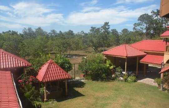 Becks Bed & Breakfast - Photo2