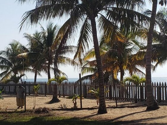 PAL'S on the beach - Photo3
