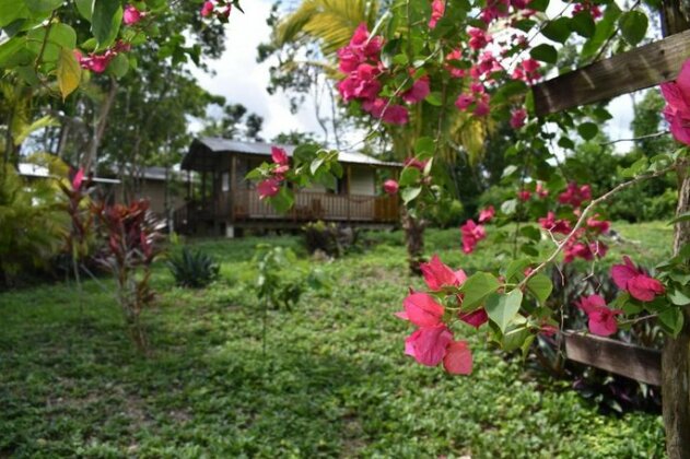 Hidden Haven - Photo4
