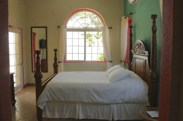 Blue Parrot Beach House - Photo4