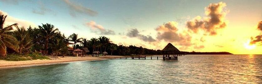 Parrot Cove Lodge - Photo2