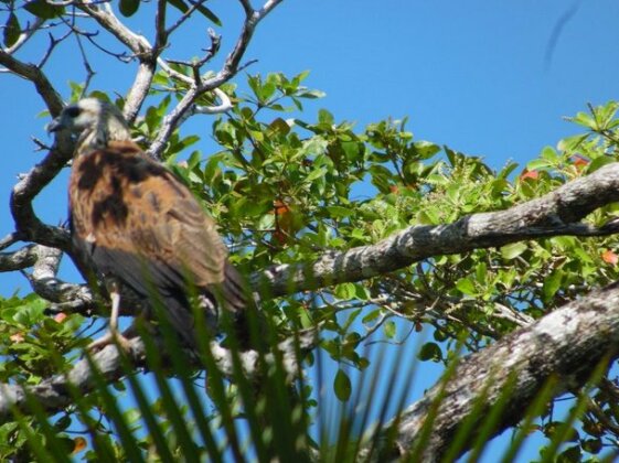 Highway Trails Belize Resort and Country Club - Photo4