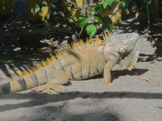 Mayan World Destinations - Photo4