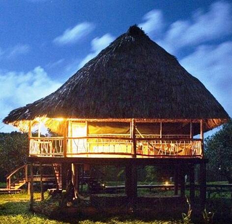 Cotton Tree Lodge