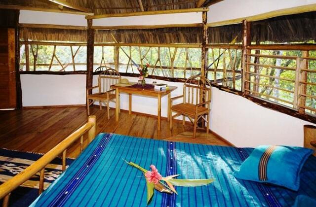 Cotton Tree Lodge - Photo2