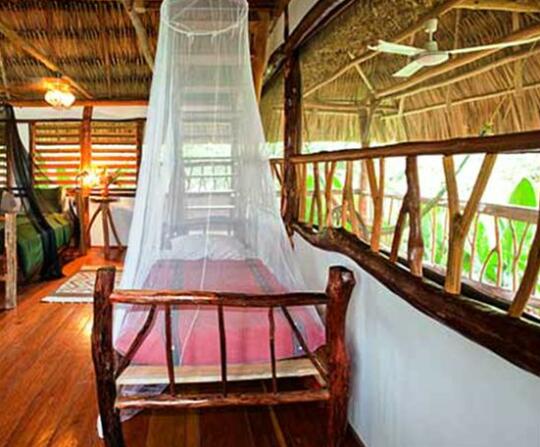 Cotton Tree Lodge - Photo4