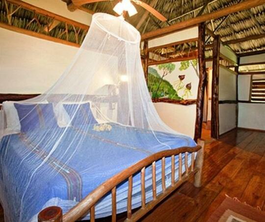 Cotton Tree Lodge - Photo5