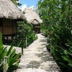 Cotton Tree Lodge San Ignacio
