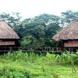 Cotton Tree Lodge San Ignacio - Photo2