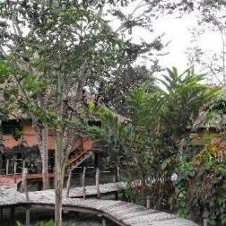 Cotton Tree Lodge San Ignacio - Photo3