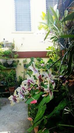 Hi-Et Guest House - Photo4