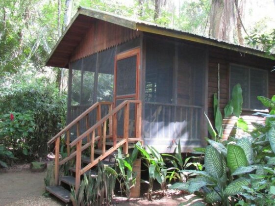 Macaw Bank Jungle Lodge - Photo2