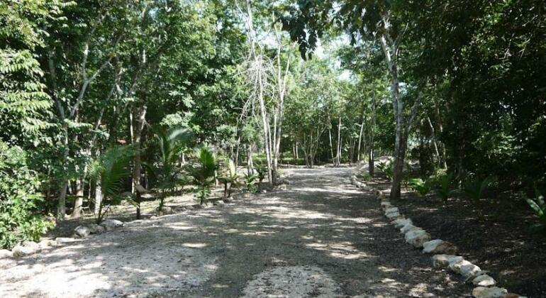 Vanilla Hills Lodge - Photo4