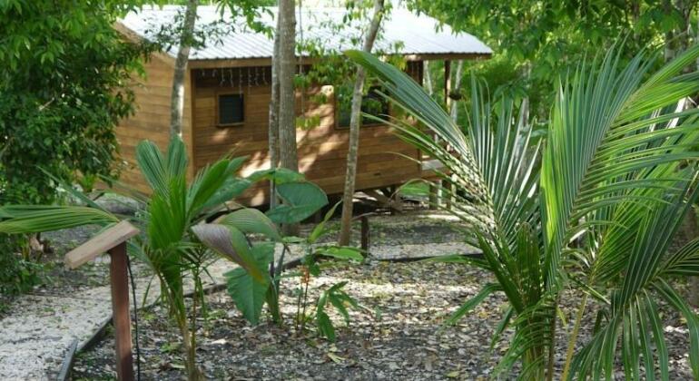Vanilla Hills Lodge - Photo5