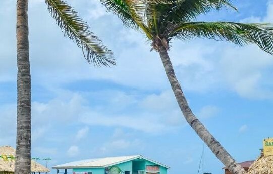 Blue Tang Inn - Photo4