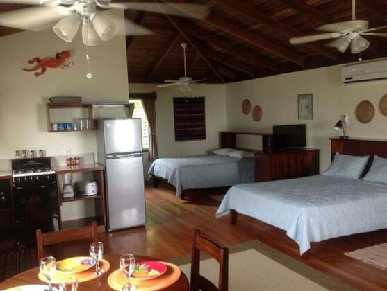 Toucan Caribbean Beach House ll - Photo3