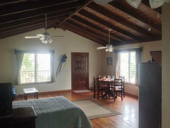 Toucan Caribbean Beach House ll - Photo4