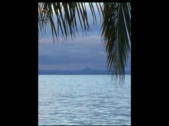 Bamboo-Belize - Photo4