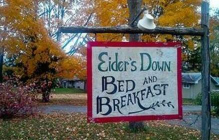 Eider's Down Bed and Breakfast