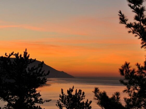 Gite Nature et Pinceaux - Photo2