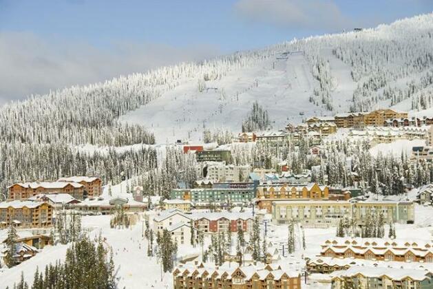 White Crystal Inn - Photo2
