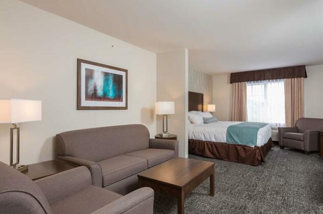 Best Western Plus Chestermere Hotel - Photo4