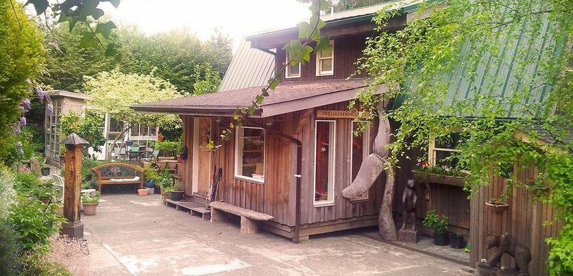 Dolphin House - Photo2
