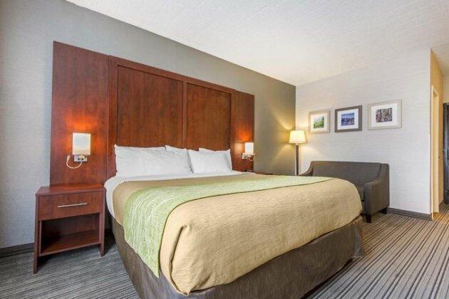 Comfort Inn & Suites Collingwood - Photo3