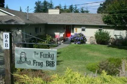 The Funky Frog B and B